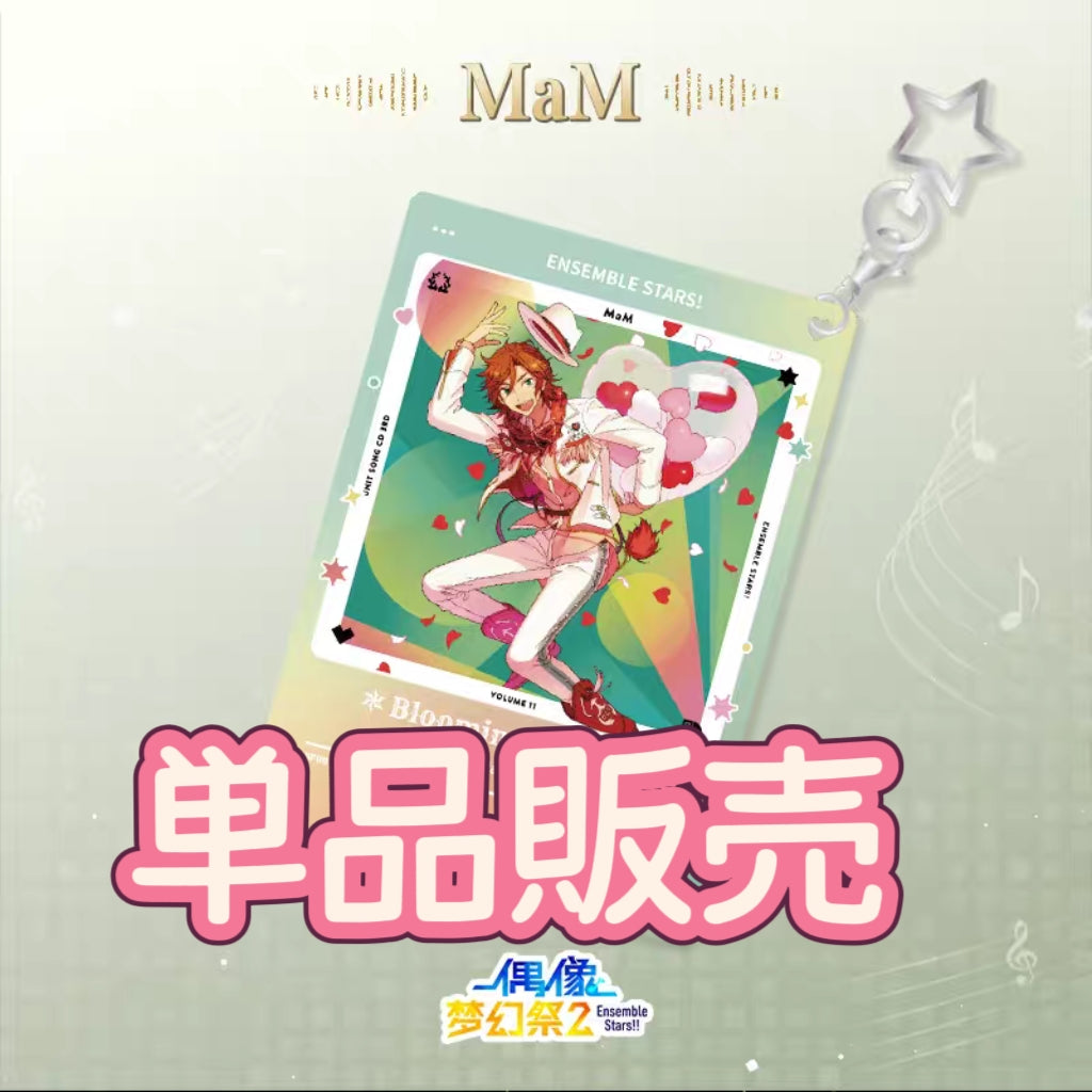 「特典付き-早期価格・振込締切日:3/4の15時」代行予約 偶像夢幻祭 中国限定商品 アルバムシリーズ-マグネットアクキー