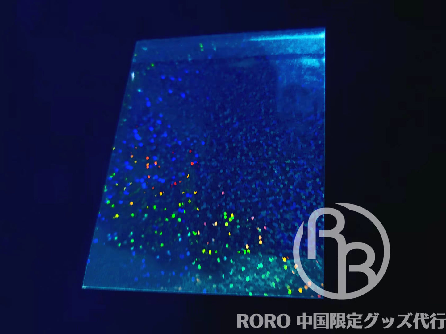 ホロスリーブ⑤